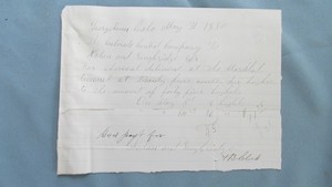 1880 Georgetown Colorado Colo. Central Mine Company Timber Delivery Invoice-