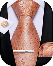 Paisley Ties for Men Silk Necktie and Pocket Square Cufflinks Tie Clip Set Woven