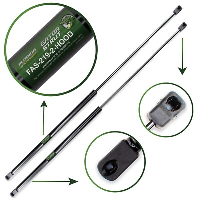 Two Hood Lift Supports FAS-219-2 For 95-99 Riviera, Olds Aurora 98-04 Seville