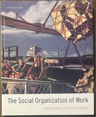 The Social Organization of Work 5th Edition VERY GOOD
