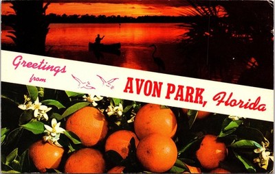 Vintage Greetings From Avon Park Florida FL Orange Grove, Man in Canoe on Water