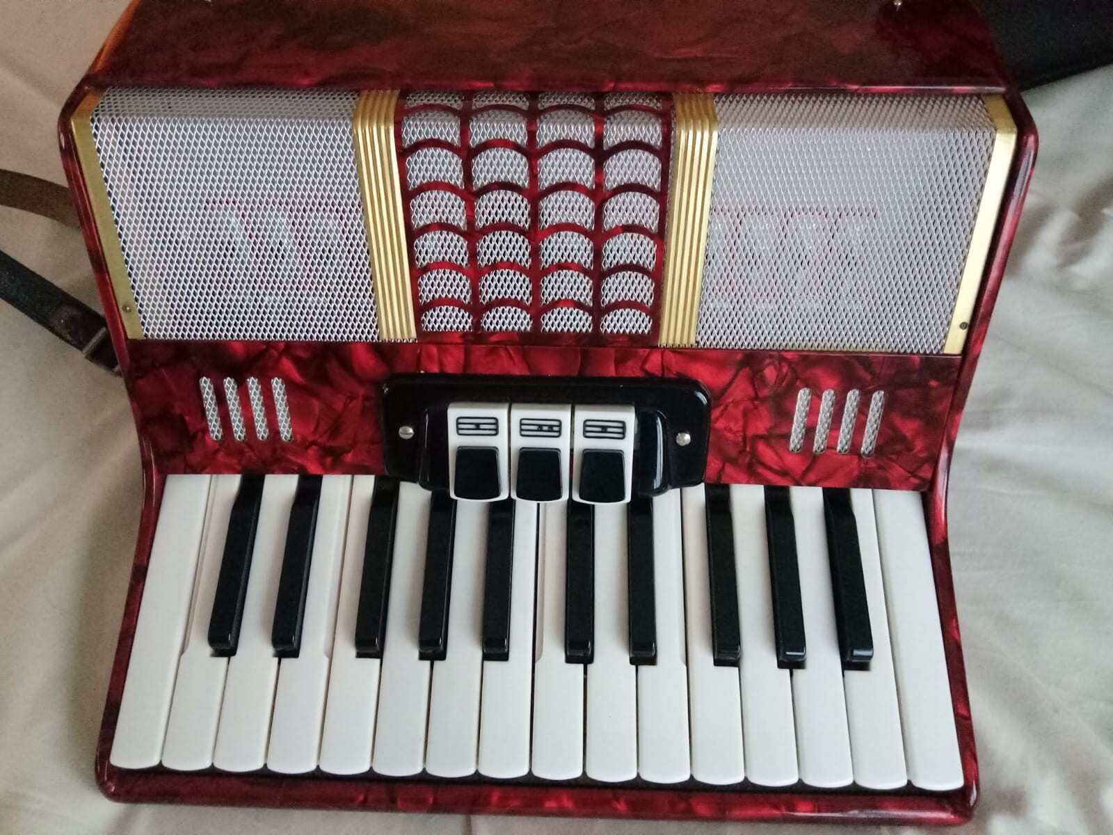 GALLOTA 48 Bass Piano Accordion eBay