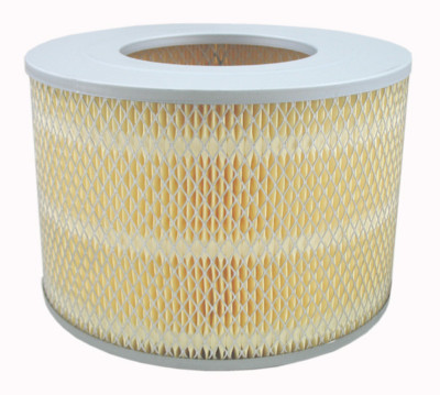Air Filter Pentius PAB376