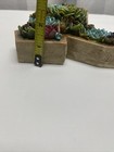Picture 9 of 12