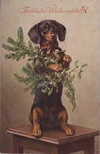 Dackel Dachshund Teckel Christmas C.Reichert Old Dog PC.
