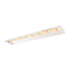 Spider Farmer SF600 LED Grow Light spettro completo piante idroponiche piantina veg
