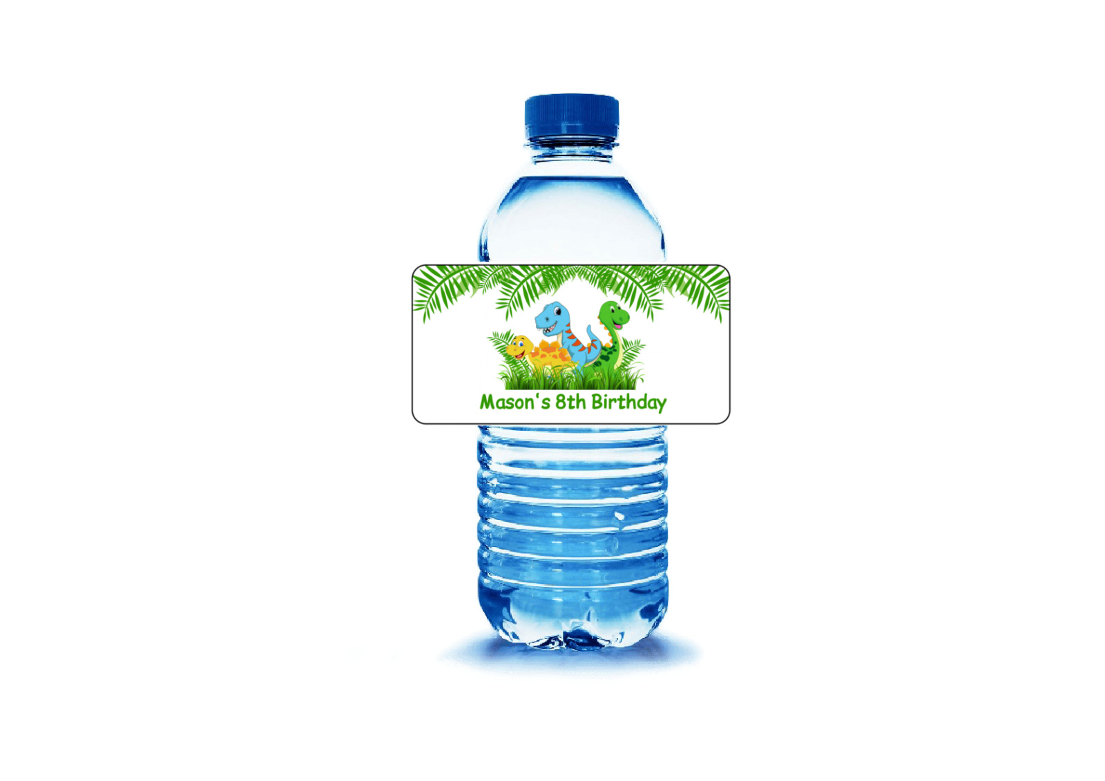 10 Dinosaur  birthday party water bottle labels stickers tag