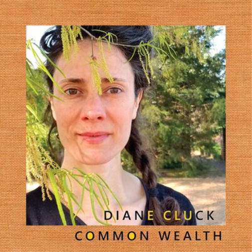 Альбом Diane Cluck Common Wealth (винил) 10 (ИМПОРТИРОВАН из Великобритании)