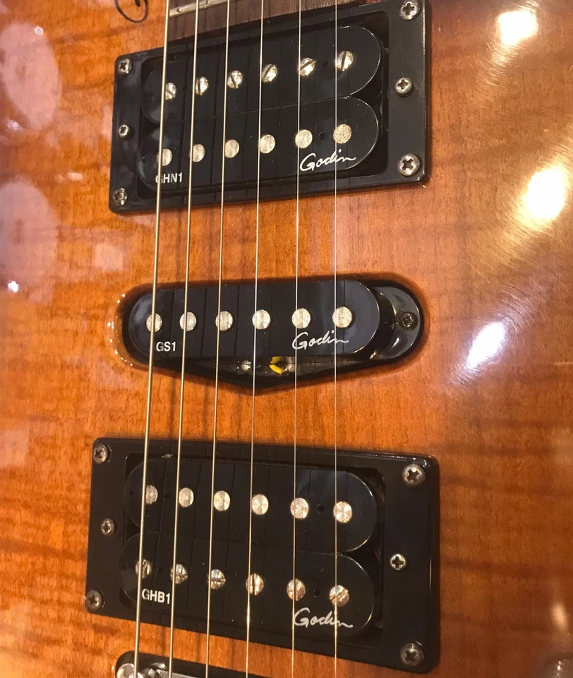 Godin FREEWAY SA con Roland GR-55S Foto 4 de 4