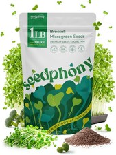 HighGermination Broccoli Sprouting Seeds 1lb NonGMO Heirloom for Microgreens
