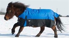 Miniature Horse Winter Turnout Blanket - Royal Blue - 600D - Sizes 36" up to 51"