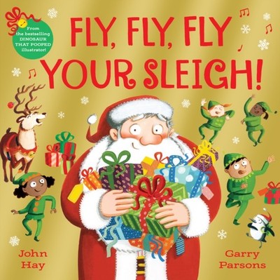 Fly, Fly, Fly Your Sleigh A Christmas Caper! by John Hay (Paperback Book)
