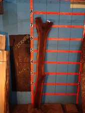 A1956 2 1/4" THICK black walnut Slab lumber shelf epoxy table KILN DRIED