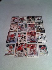 *****Chris Terreri***** Lot of 60 cards.....30 DIFFERENT / Hockey