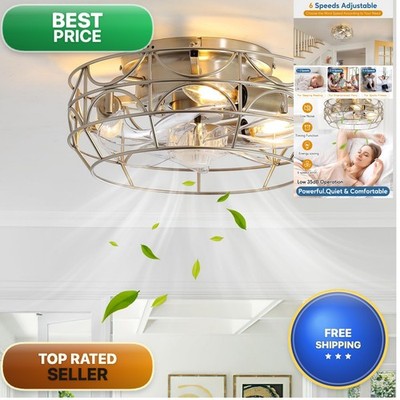 Sewterolyn SECL06 Nickel Caged Ceiling Fan 12 inch 6 Speeds with Light Remote