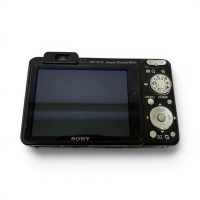 Sony Cyber-shot DSC-W170 10.1MP Digital Camera - Silver (DSC-W170