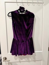 Jerry s Figure Skating Dress Adult Large Purple Velvet Sparkle