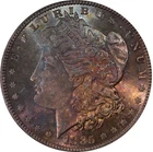 1885 Morgan Dollar, PCGS MS64 TONED