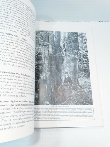 LEGNO E OLIVICOLTURA - Antichi Mestieri Artigiani Liguri / 1994 - 第 11/12 張圖片