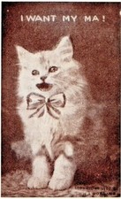c1907 Cat With A Bowtie, I Want My Ma!, cute, antique postcard, Winsch back