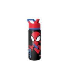 Kids Summit Water Bottle with Straw Lid Marvel Spider Man 18oz Stainless St...