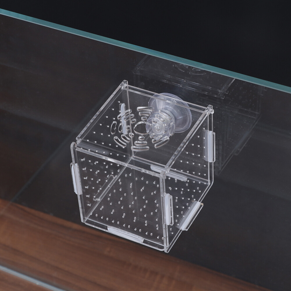 Brine Shrimp Hatchery Baby Fish Tank Divider Betta Aquarium eBay