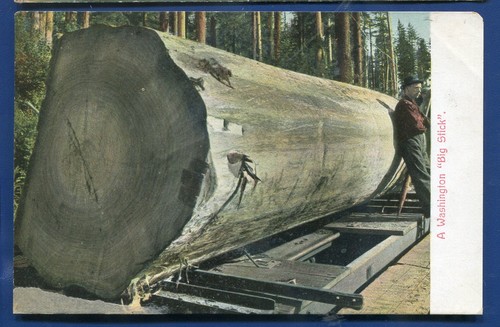 Washington Big Stock Log logging 1909 Seattle Worlds Fair slogan annullamento cartolina - Foto 1 di 2