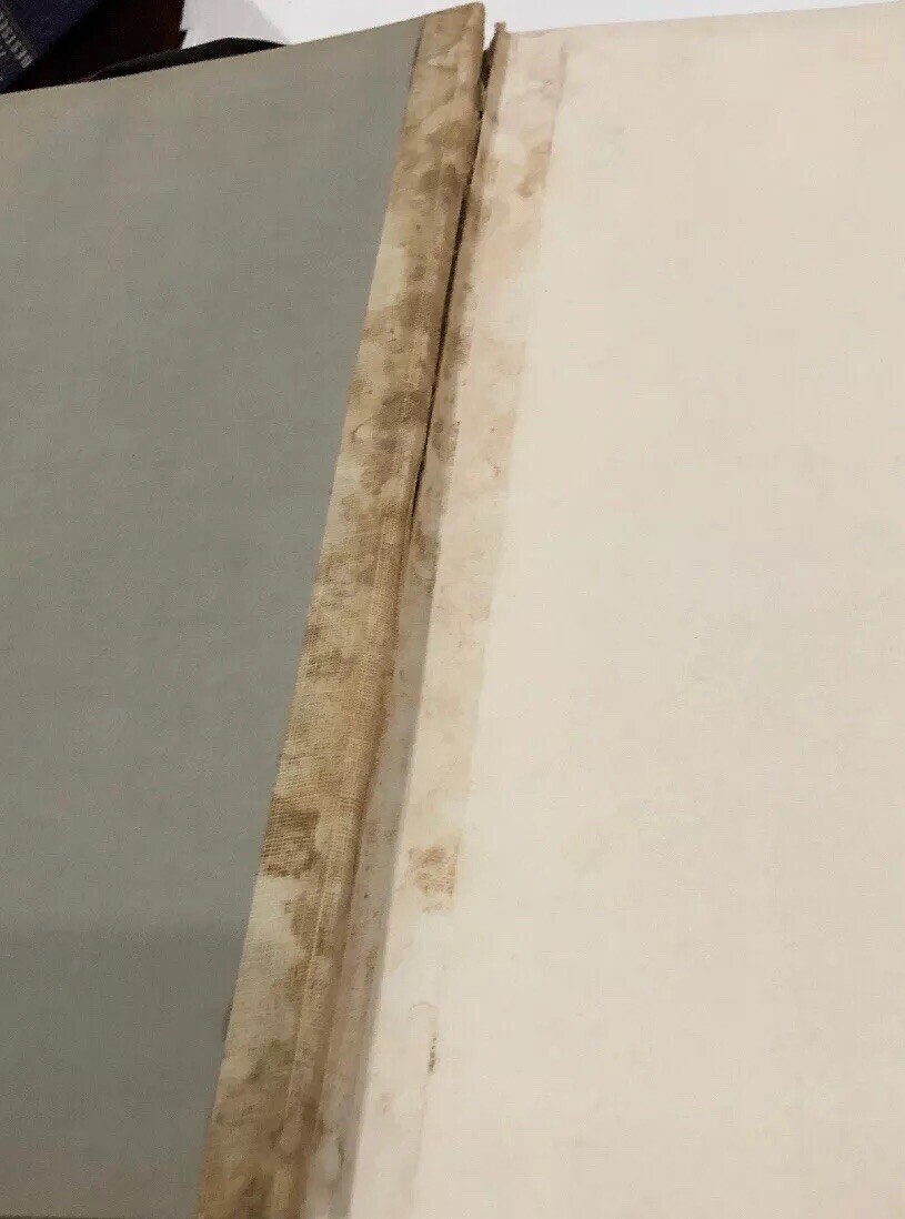 Picture 5 of 11