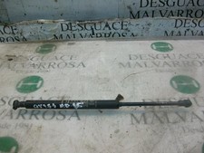 Capot Alfa Romeo ALFA 6