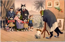 Postcard Alfred Mainzer Anthropomorphic Cats Posing For Portrait Eugene Hartung