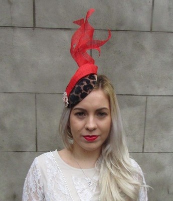 Hat Fascinator Races 6564 
