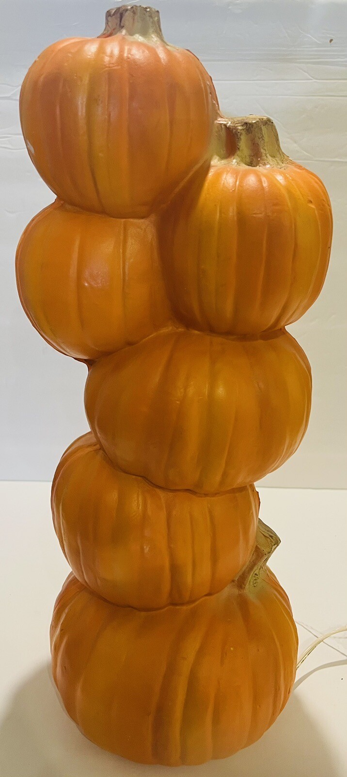 Picture 4 of 5