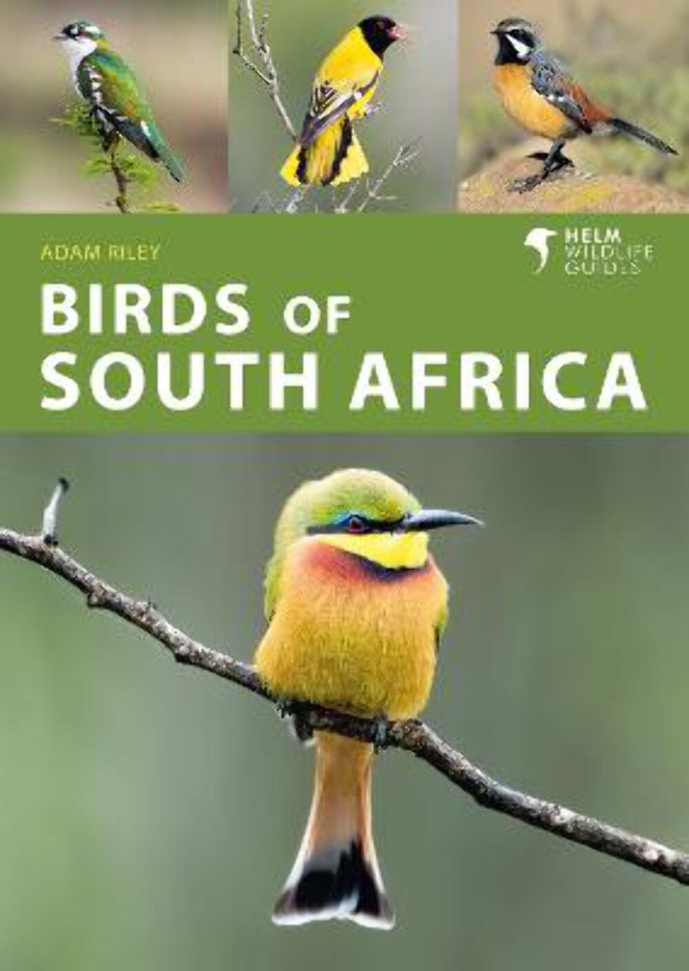 Adam Riley: Birds of South Africa (Helm Wildlife Guides) [2022] paperback