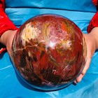 16.45 LB Large Natural Petrified Wood Agate Sphere Crystal Healing Specimen 4067 — photo 1