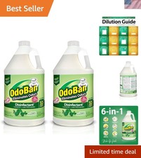 Eucalyptus Disinfectant Concentrate - 2 Gallons Odor Eliminator for Home  Bu...