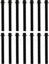 Genuine Victor Reinz Cylinder Head Bolt Set 14-32005-02 for BMW