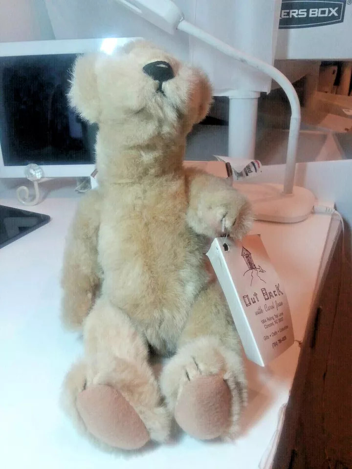 Click here to see eBay Auction