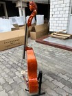 Foto 5 di 12