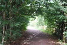 Photo 6x4 The Thames Path Hammersmith/TQ2279  c2010
