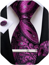 Paisley Ties for Men Silk Necktie and Pocket Square Cufflinks Tie Clip Set Woven
