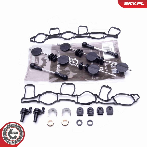 Esen SKV Reparatursatz Saugrohrmodul 49SKV500 FüR VW Touareg 7LA 7L6 7L7 Phaeton-image