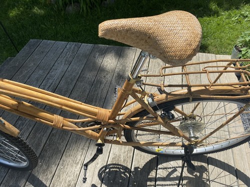 bamboo folding bike