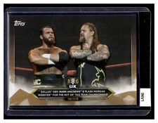 Gallus def. Mark Andrews & Flash Morgan - 2020 Topps WWE NXT - Bronze