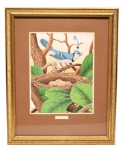 Original 1882 Chromolithograh Bird Print BLUE JAY in Nest with Eggs