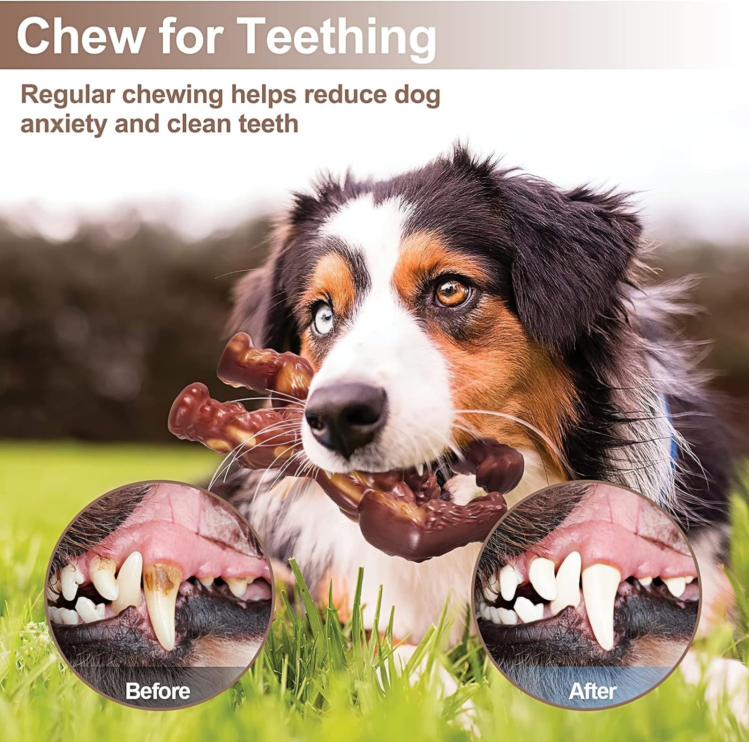 Indestructible Beef Flavor Dog Chew Toy for Aggressive Chewers - 7.5x5 Inches