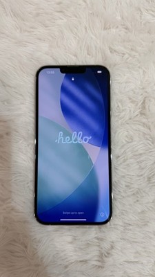 iPhone 13 Pro Max - 512gb Silber - Entsperrt