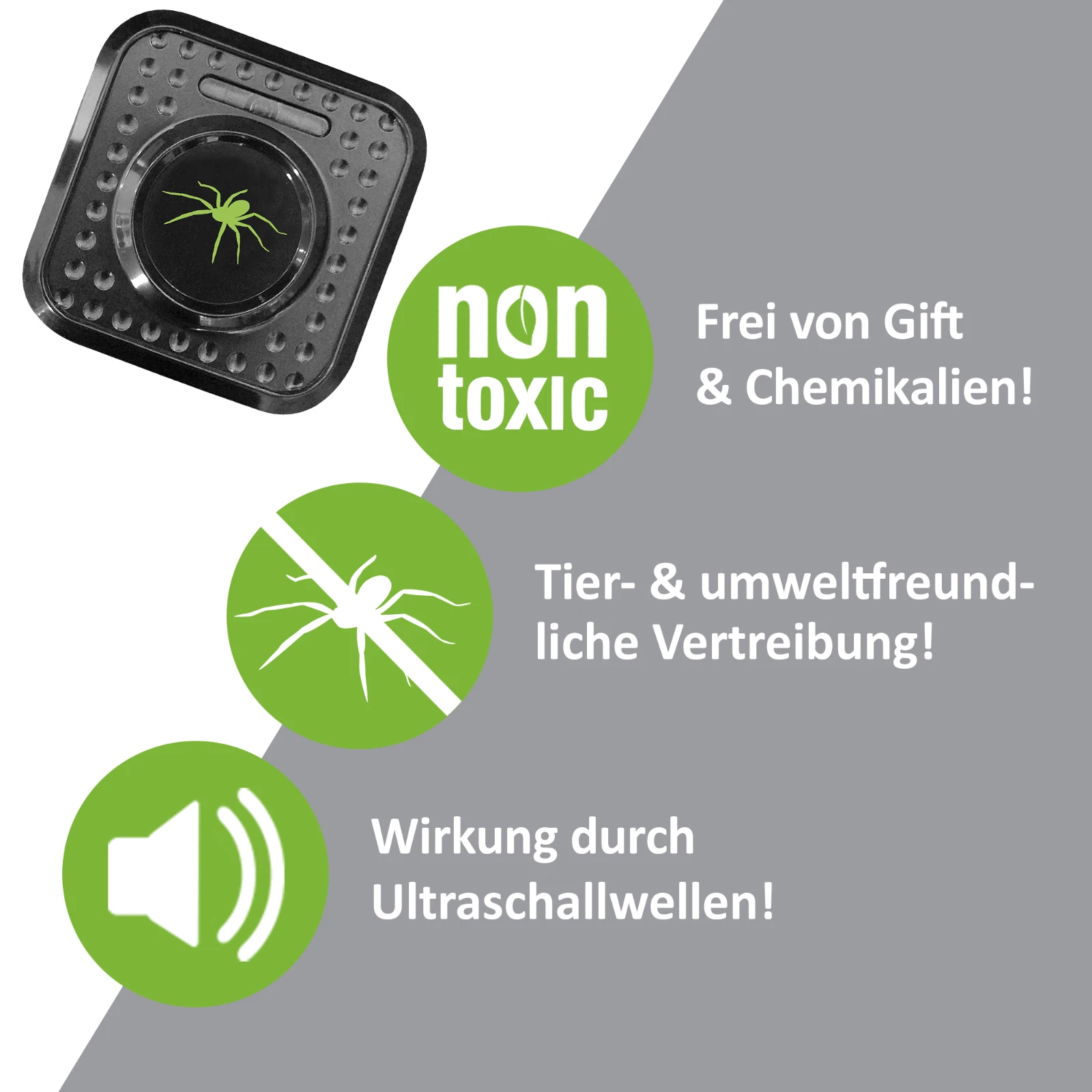 Bild 3 von 6