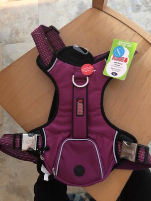 kong waste bag harness large