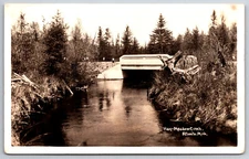 Atlanta Michigan~Hay-Meadow Creek~1938 RPPC