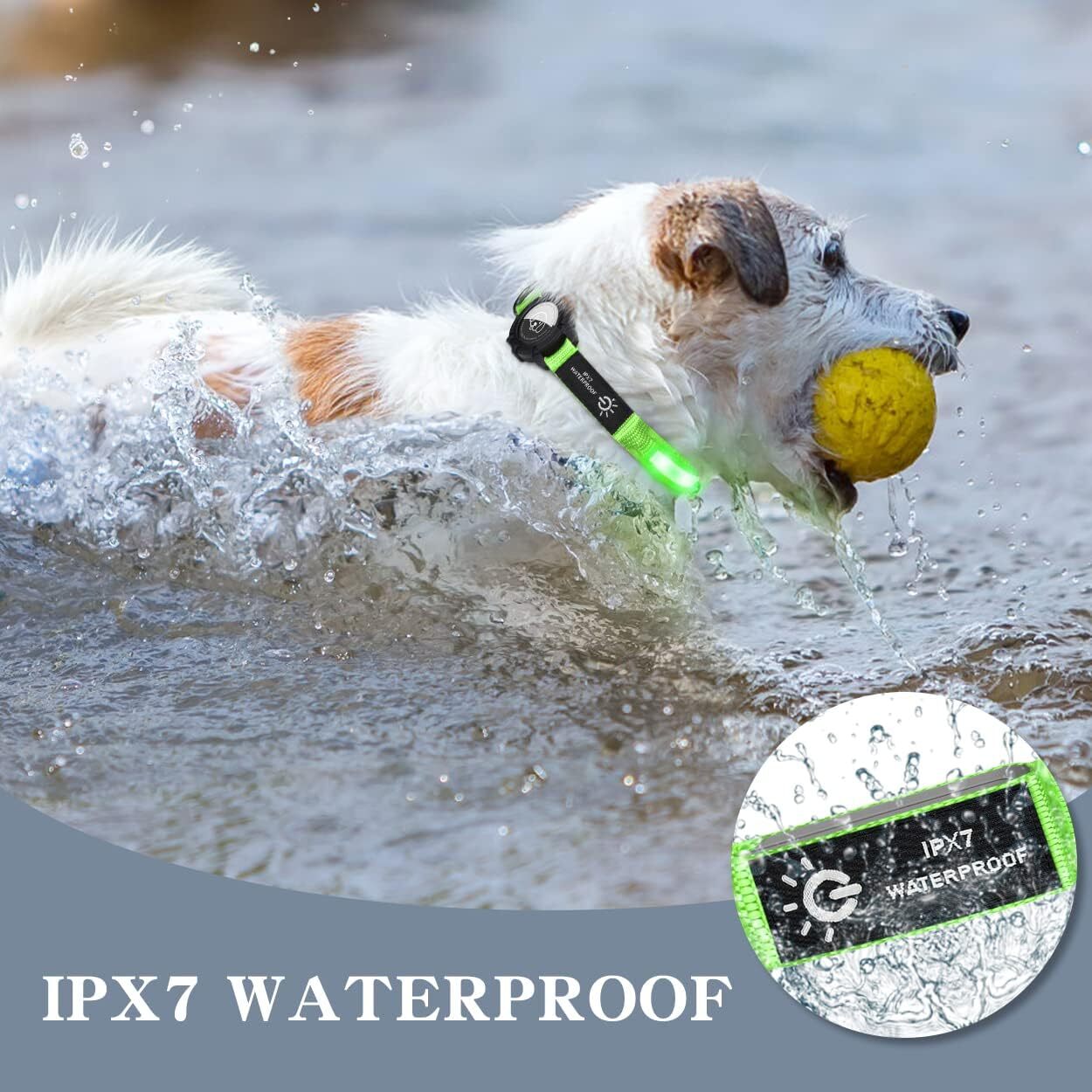 Light Up Dog Collar Waterproof LED Flashing Dog Collars for Night